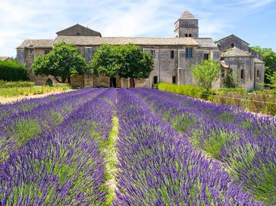 Camille - Charmant T2 Moderne Et Calme Châteaurenard Esterno foto